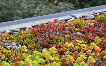 the cost of Plantationfoot green roof installation
