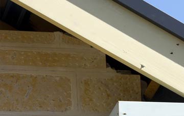 soffit repair Plantationfoot
